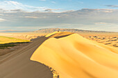 People walking on Khongor sand dunes in Gobi Gurvan Saikhan National Park, Sevrei district, South Gobi province, Mongolia, Central Asia, Asia