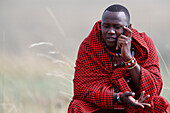 A Masai man talking on a mobile phone in the African savanna, Masai Mara Game Reserve. Kenya, East Africa, Africa