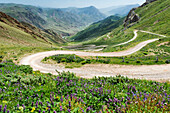 Road to Song Kol Lake, Parrot Pass, Naryn province, Kyrgyzstan, Central Asia, Asia