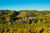 Village in the vineyards in autumn, Schelingen, Kaiserstuhl, Baden-Württemberg, Germany