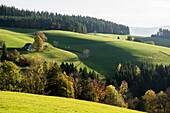 Ausblick auf hügelige Landschaft, bei St Märgen, Schwarzwald, Baden-Württemberg, Deutschland