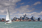 View from the Bay on Auckland, North Island, New Zealand