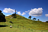 One Tree Hill, Auckland, Nordinsel, Neuseeland