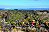Taranaki Fall Track, Tongariro National Park, Nordinsel, Neuseeland