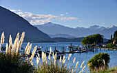 an der Seepromenade mit Blick zum Mt. Aspiring, Wanaka am Wanaka See, Südinsel, Neuseeland