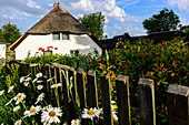 House with flower garden in Hagen, Rügen, Ostseeküste, Mecklenburg-Western Pomerania, Germany