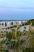 Strandkörbe mit Strandhafer im Abendlicht, Ahlbeck, Usedom, Ostseeküste, Mecklenburg-Vorpommern,  Deutschland