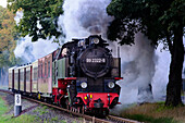 Steam railway runs between Kühlungsborn and Bad Doberan, called Molli, Ostseeküste, Mecklenburg-Western Pomerania Germany