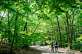 Young people are hiking in the National Park, Wollin, Baltic Sea coast, Poland