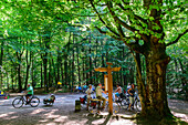 Crossing the Great Star in the Darsser Jungle, Baltic Sea Coast, Mecklenburg-Western Pomerania, Germany