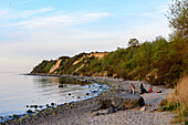 Steep coast Großklützhoeved near Boltenhagen, Ostseeküste, Mecklenburg-Western Pomerania Germany