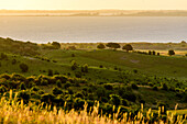 Blick vom Dornbusch, Hiddensee, Rügen, Ostseeküste, Mecklenburg-Vorpommern,  Deutschland