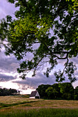 Landscape Zickerschen Alps, Moenchgut, Rügen, Baltic Sea Coast, Mecklenburg-Vorpommern, Germany