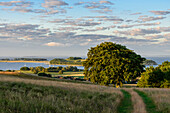 Landscape Zickerschen Alps, Moenchgut, Rügen, Baltic Sea Coast, Mecklenburg-Vorpommern, Germany