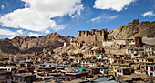 View on city Leh in Ladakh, India, Asia