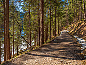 Lakeside path at the Eibsee on a sunny winter day, Eibsee, Upper Bavaria, Germany