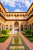 Real Alcazar, UNESCO World Heritage Site, Santa Cruz district, Seville, Andalusia (Andalucia), Spain, Europe