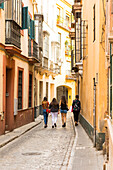 Santa Cruz district, Seville, Andalusia (Andalucia), Spain, Europe