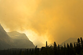 Forest fire, Glacier National Park, Montana, United States of America, North America