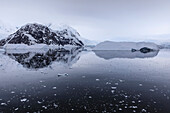 Atmospheric iceberg, mountain and glacier reflections, Neko Harbour, Andvord Bay, Graham Land, Antarctic Peninsula, Antarctica, Polar Regions