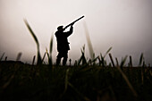 Silhouette of gun shooting on a pheasant shoot, United Kingdom, Europe