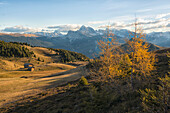 Odle mountain range at sunrise, Alpe di Siusi, Trentino, Italy, Europe