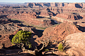 Dead Horse Point State Park, view from point down into Colorado River canyon, Moab, Utah, United States of America, North America