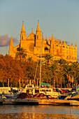 La Seu Cathedral, Palma de Mallorca, Mallorca (Majorca), Balearic Islands, Spain, Mediterranean, Europe