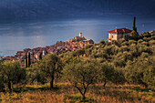 Elevated view of Castello Scaligero (Scaliger Castle), Malcesine, Lake Garda, Veneto, Italian Lakes, Italy, Europe