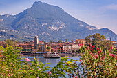 Elevated view overlooking the harbour at Riva del Garda, Lake Garda, Trentino, Italian Lakes, Italy, Europe