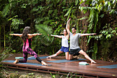 Die Lodge bietet Yogaunterricht an, Silky Oaks Lodge, Queensland, Australien