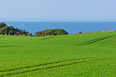 Trail E9, round trip: coast from Boltenhagen to Redewisch / around steep coast around after Steinbeck / in the Klützer angle by the Leonorenwald / Stellshagen / Bothmer / Boltenhagen, Baltic Sea coast, Mecklenburg-Vorpommern Germany