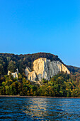 Chalk cliffs, Ruegen, Baltic Sea coast, Mecklenburg-Vorpommern, Germany