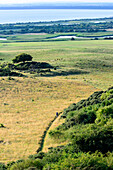 View on peninsula Bessin, Hiddensee, Ruegen, Baltic Sea coast, Mecklenburg-Vorpommern, Germany