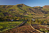 Farmhouse at Haria, Lanzarote, Canary Islands, Islas Canarias, Spain, Europe