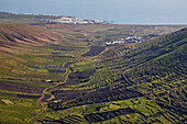 Blick auf Felder und Tabayasco und Arrieta, Lanzarote, Kanaren, Kanarische Inseln, Islas Canarias, Spanien, Europa