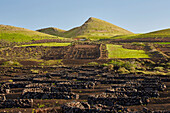 Wine growing area La Geria at the foot of the Montanas del Fuego de Timanfaya, Lanzarote, Canary Islands, Islas Canarias, Spain, Europe