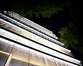 Looking up at an illuminated office building and foliage at night.