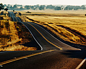 A country road in the Central Valley, California.