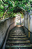Stairs lined with tile and covered with an awning of plants lead up from the San Antonio river walk to La Villita.