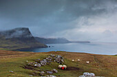 Scenery of coastline in cloudy weather near Neist Point Lighthouse with sheep, Isle of Skye, Scotland, UK