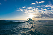 Wave in Pacific Ocean at sunrise, Oahu, Hawaii Islands, USA