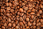 Roasted coffee beans, Oakland, California, USA