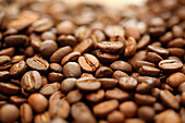 Full frame of brown roasted coffee beans, Oakland, California, USA