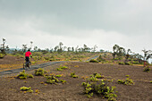 People ride bicycles on the edge of Kilauea Caldera  in Hawai'i Volcanoes National Park, Big Island Hawaii.