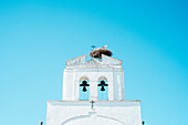 Stork nest on top of church bell tower, Ruta de los Pueblos Blancos, Andalusia, Spain