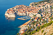 Elevated view over the old town of Dubrovnik, UNESCO World Heritage Site, Croatia, Europe
