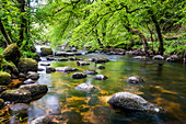 River in Dartmoor, Devon, England, United Kingdom, Europe