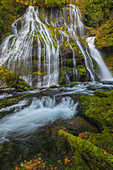 Panther Falls, Columbia River Gorge, Washington