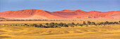 Sand dunes near Sesriem, Namib Naukluft National Park, Namibia